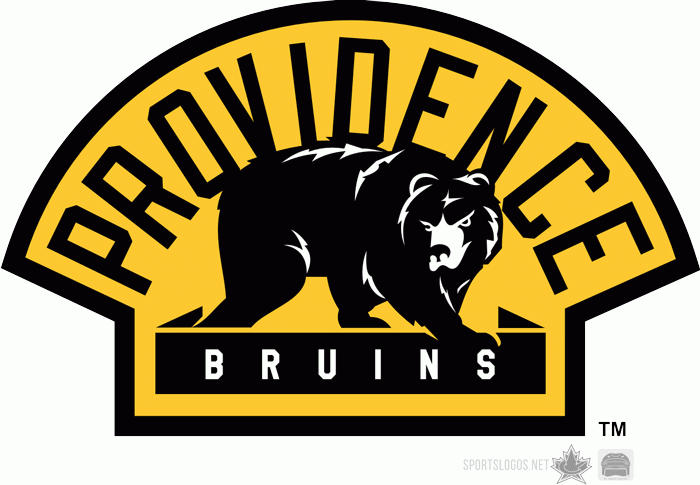 Providence Bruins 2010 11-Pres Alternate Logo iron on transfers for T-shirts